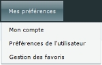 Cmsms AdminPreferences fr.jpg